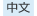 中文網站